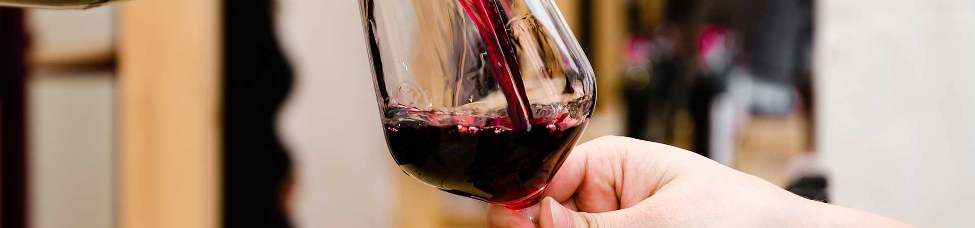 vini savigliano